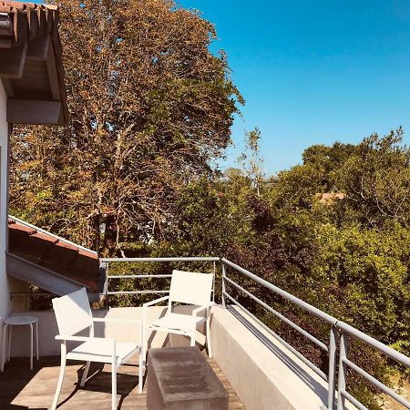 Hotel La Villa Saint-Pierre-d'Irube Ngoại thất bức ảnh