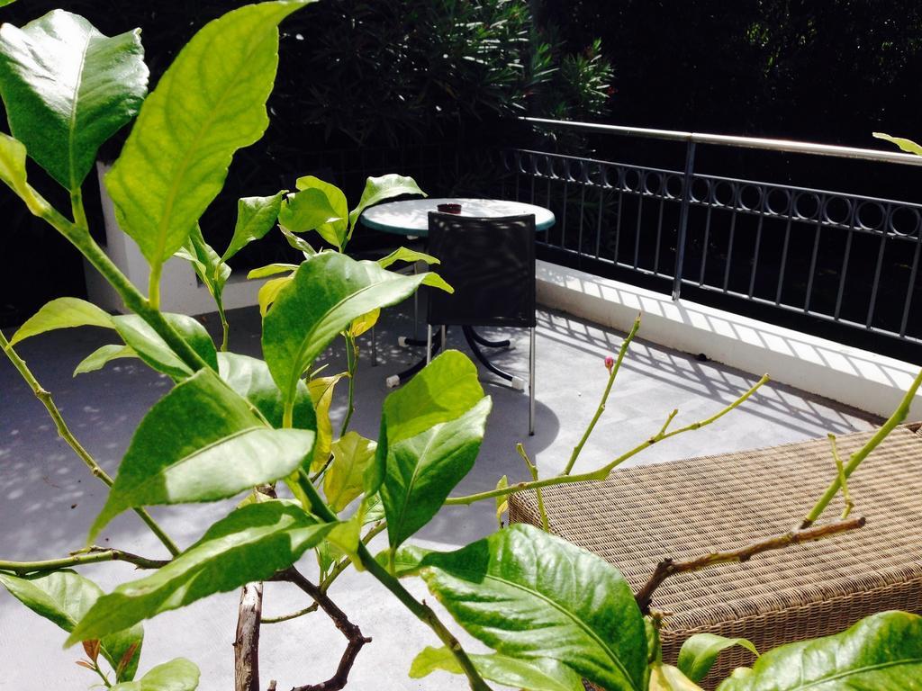 Hotel La Villa Saint-Pierre-d'Irube Ngoại thất bức ảnh
